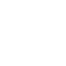 2006 - Japan