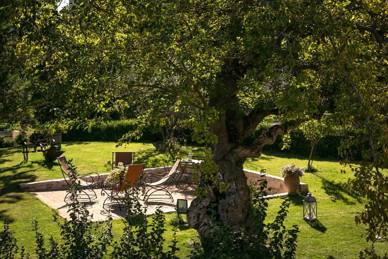 Albero e terrazzo
