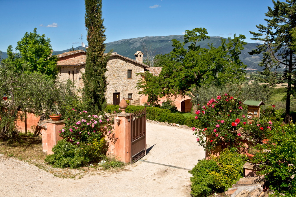 Il viale dingresso