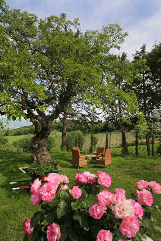 Il giardino