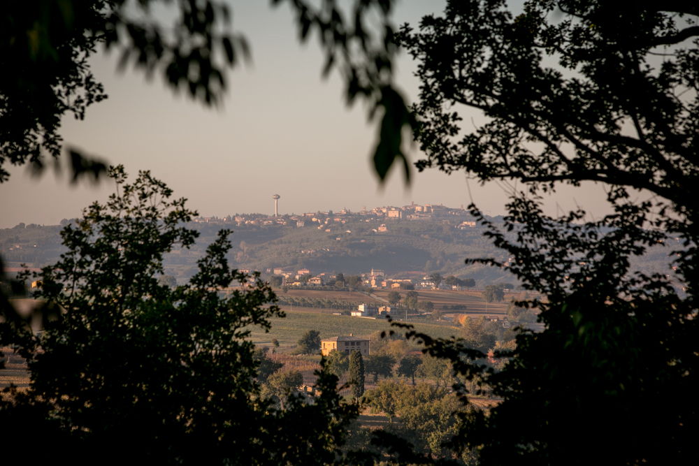 Panorama