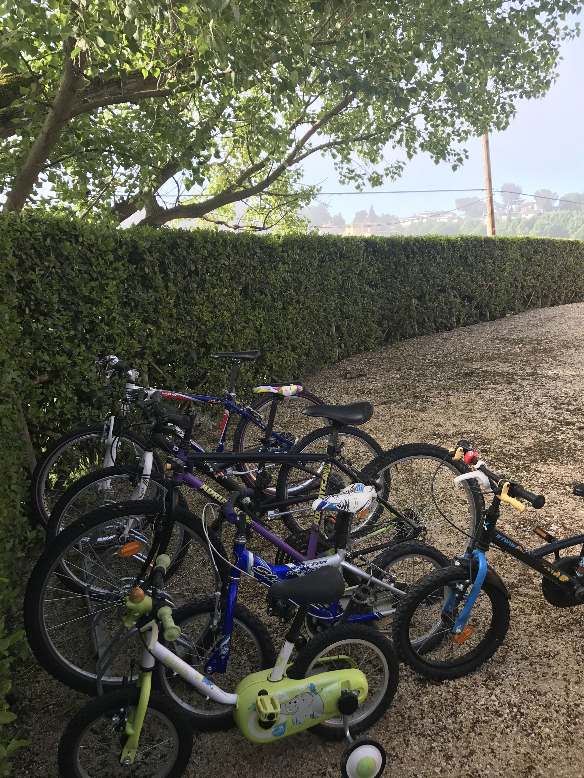 Bici