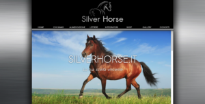 Silverhorse
