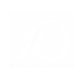 iframe title